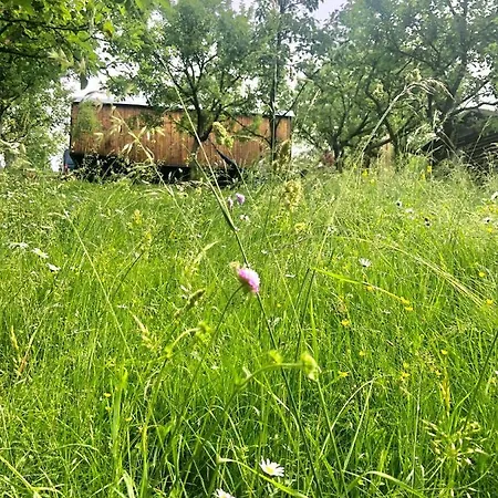 Maringotka V Sadu Na Skale *