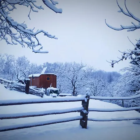 Maringotka V Sadu Na Skale
